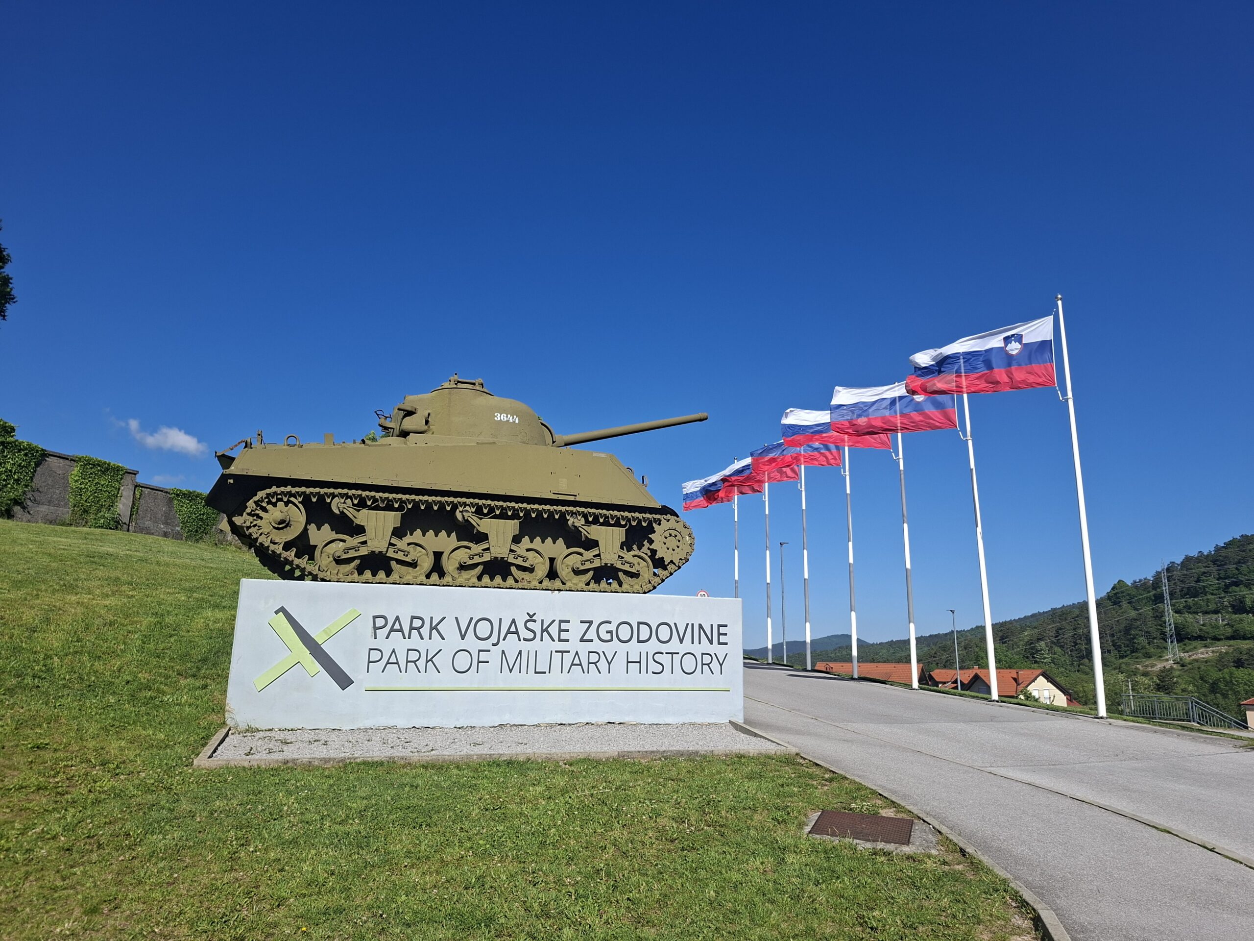 19. SVM festival