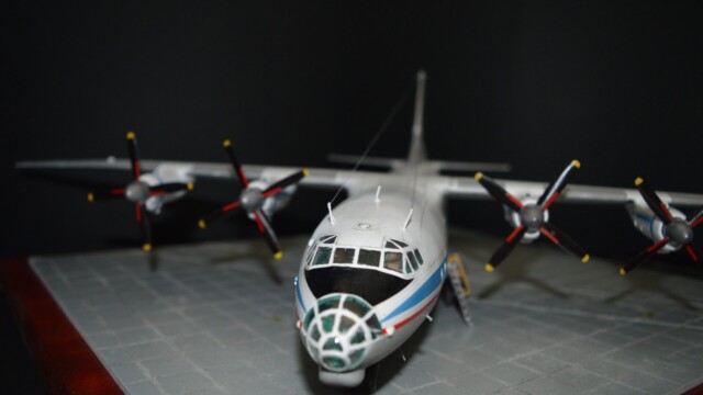 Gi mm0 A0051