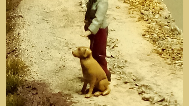 Gi pp0 A0017